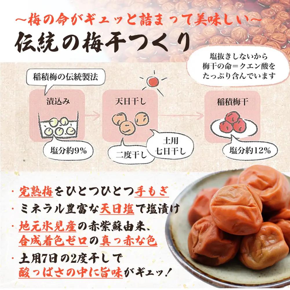 越中伝統 梅干し 氷見稲積梅 1kg （塩分約12%）｜富山県固有種 稲積梅 梅干し 添加物不使用 手作り  