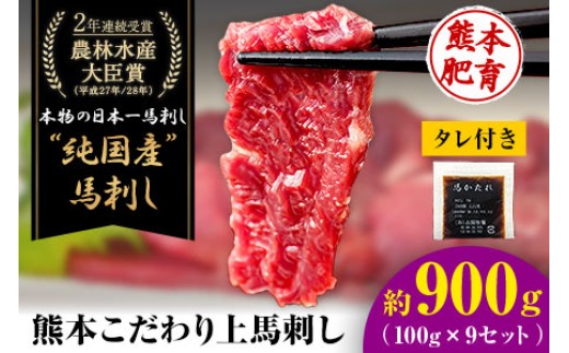
                  上赤身馬刺し100g×9セット(10ml×9袋)《3-7日以内に出荷予定(土日祝除く)》 熊本県 菊池市 馬刺し 国産 赤身 送料無料 肉 タレ付き 900g 牛肉よりヘルシー 
                