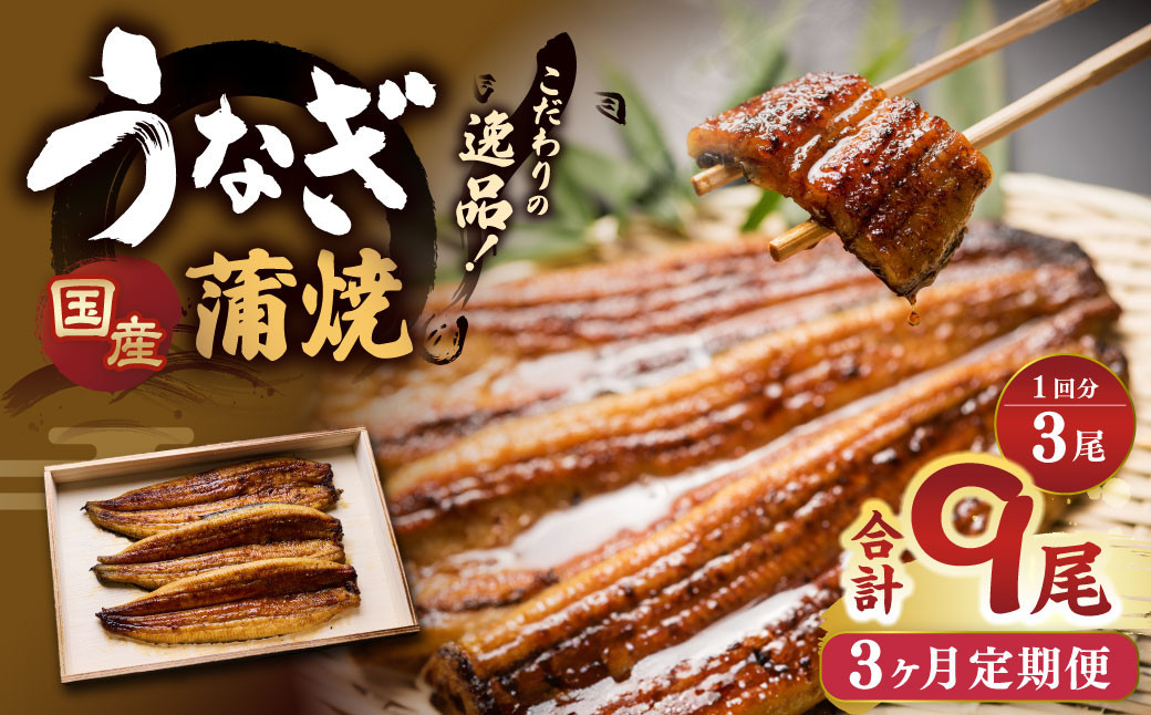
            【3ヶ月定期便】 蒲焼きうなぎ 3尾 （国産） ／ 鰻 うなぎ ウナギ 蒲焼き 蒲焼 うなぎの蒲焼 鰻の蒲焼き たれ付き 自家製たれ 山椒 冷蔵 国産
          