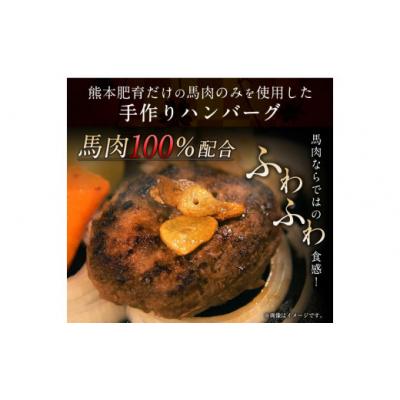 ふるさと納税 氷川町 手作りハン馬ーグ 100g×10個 馬肉100%配合!【熊本肥育】