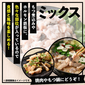 黒毛和牛ミックスホルモン1000g(500g×2P) 国産 鹿児島県産 和牛 ミックス ホルモン 焼肉 小分け【A-1544H】