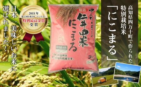 ◎新米予約◎四万十育ちの美味しい「仁井田米」にこまる6kg（3kg×2袋）  米 おこめ 精米 特別栽培米 受賞 おいしい おすすめ 人気　低農薬 6キロ／Bmu-A25