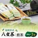 【ふるさと納税】八女茶(福岡県産)煎茶 100g×3【1486506】