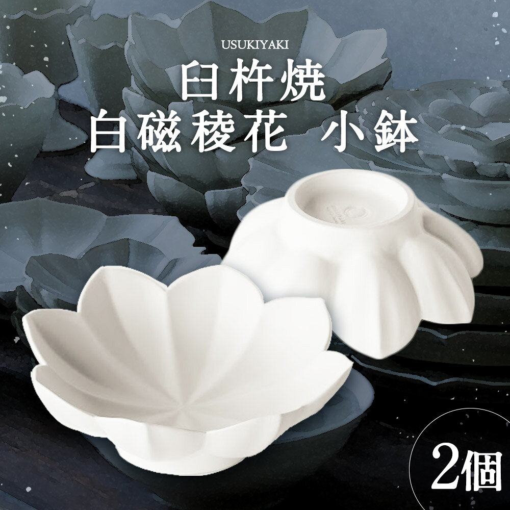 【ふるさと納税】臼杵焼 白磁稜花 小鉢 2個セット 直径約14cm 高さ約4.5cm 食器 皿 お皿 小鉢 シンプル 白 ホワイト 手作り ハンドメイド 送料無料