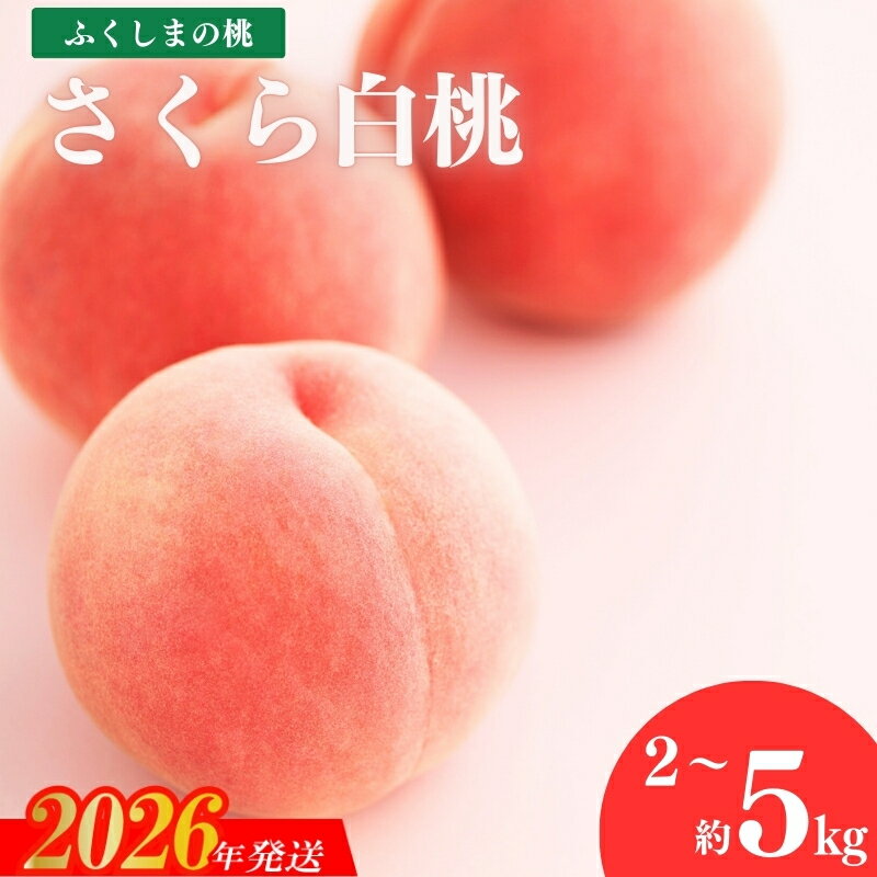 【ふるさと納税】果樹園きつない 福島のもも「さくら白桃」約2kg 約3kg 約5kg【2026年発送 先行予約】