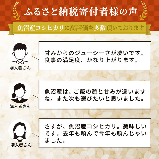令和6年産 お米マイスター厳選 魚沼産 コシヒカリ 無洗米 6kg (3kg×2) ( 米 お米 こめ コメ おこめ 白米 こしひかり ) 新潟県 