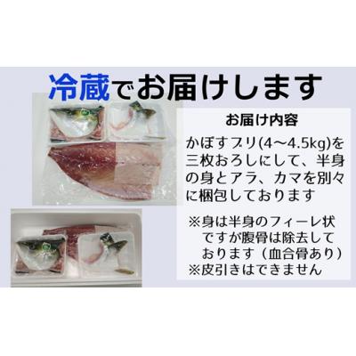 ふるさと納税 臼杵市 先行受付≪着日指定必須≫さっぱり美味い「うすき産(養殖)かぼすブリ」 (半身) |  | 01