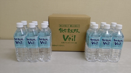 【定期便9ヶ月】飲むおんせんベール2L×6本入+500ml×12本入セット【 温泉水 温泉純度100％ 保存水 防災 神奈川県 山北町 】