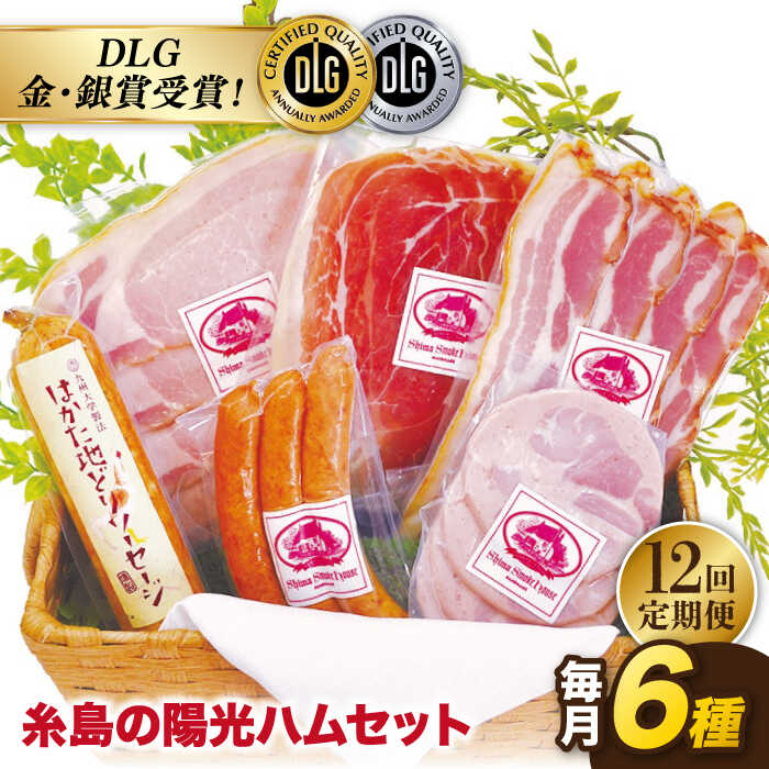【全12回定期便】 糸島の陽光 ハム セット 糸島市 / 志摩スモークハウス [AOA010]