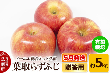 【26年5月クール便発送】りんご  贈答用 葉取らず ふじ 約5kg（有袋栽培・CA貯蔵）EMりんご