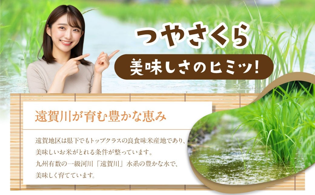 【3ヶ月定期便】福岡県産つやさくら 20kg