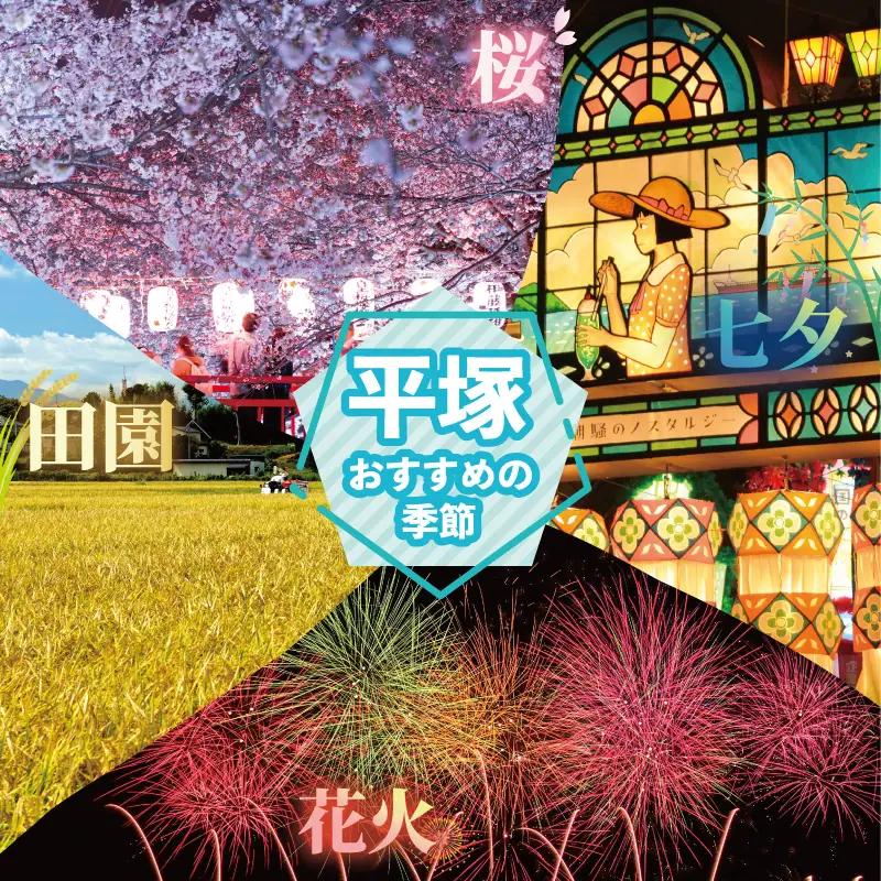 湘南水揚げ しらす 釜揚げしらす 800g (200g×4p)