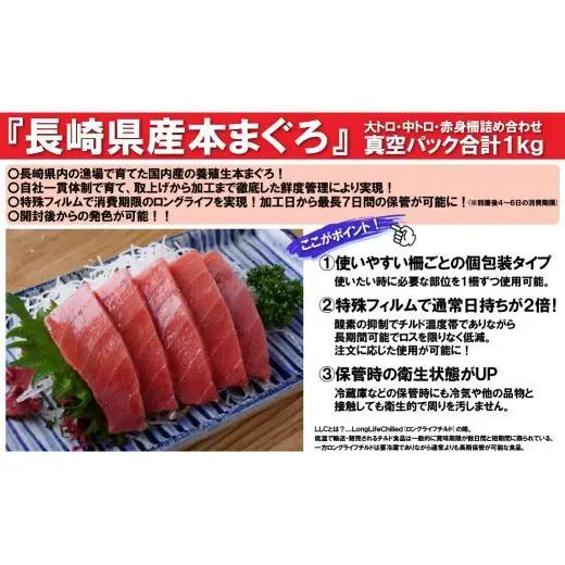 刺身用 国産ほんまぐろ詰め合わせ【養殖】本まぐろ 人気 国産 長崎 佐世保 