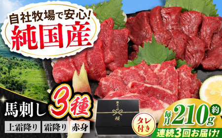 【全3回定期便】『純国産』熊本の味 馬刺し お試し 3種 セット 計約210g（2?3人前）上霜降り 霜降り 赤身 タレ付    赤身馬刺し 赤身馬刺し 赤身馬刺し 赤身馬刺し 赤身馬刺し [AYCN068]