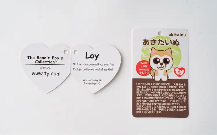 60P7320 Tyぬいぐるみ秋田犬Loy(ロイ)　3個セット【花ドーム】