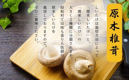 昭和村産原木しいたけ200g×8パック 椎茸 しいたけ きのこ 茸 料理 調理 ご飯 ごはん 原木しいたけ 野菜【青木農園】