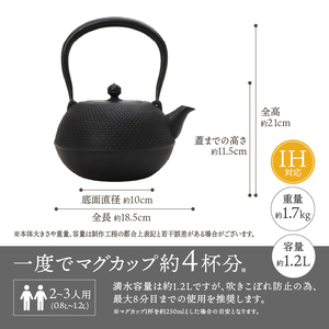 南部鉄器 『鉄瓶・瓶敷セット』 寒梅あられ〜ARARE〜 1.2L 伝統工芸品 直火 ガスレンジ IH調理器 やかん ケトル 鍋敷き キッチン用品 食器 日用品 雑貨 鉄分補給 [BE015]
