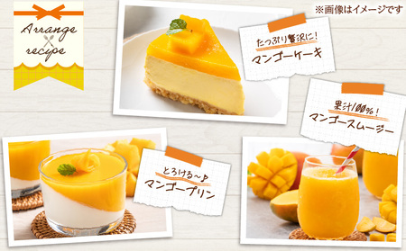 先行予約 数量限定 南国 宮崎 完熟マンゴー 3L × 2玉 A級品 化粧箱入り _DB31-24