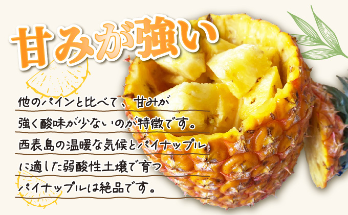 2025年 先行予約 パイン ゴールドバレル 約3kg 2～4玉 ますみ農園 甘み たっぷり パイナップル 果物 フルーツ
