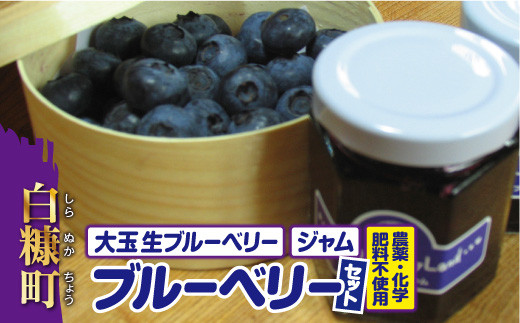 
農薬・化学肥料不使用ブルーベリーセット
