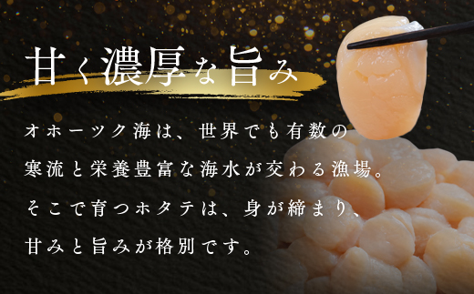 1月発送　オホーツク海産ホタテ貝柱3kg　en01-00337