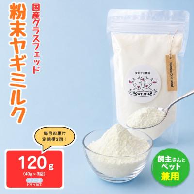 ふるさと納税 美浜町 【毎月定期便】国産グラスフェッド【人間・ペット兼用】粉末ヤギミルク40g×1袋 フリーズドライ全3回