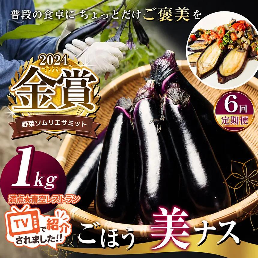 【定期便6回】野菜ソムリエサミット金賞「ごほう美ナス」 約1kg