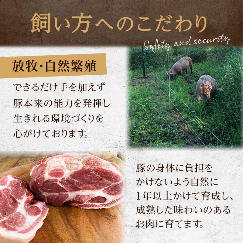 【放牧豚】小間切れ 300g×2 計600g 肉 豚肉 冷凍 豚 お肉 焼肉 焼き肉 薄切り スライス 北海道 ジビエ ブタ 小分け 真空 ギフト おかず F4F-6084