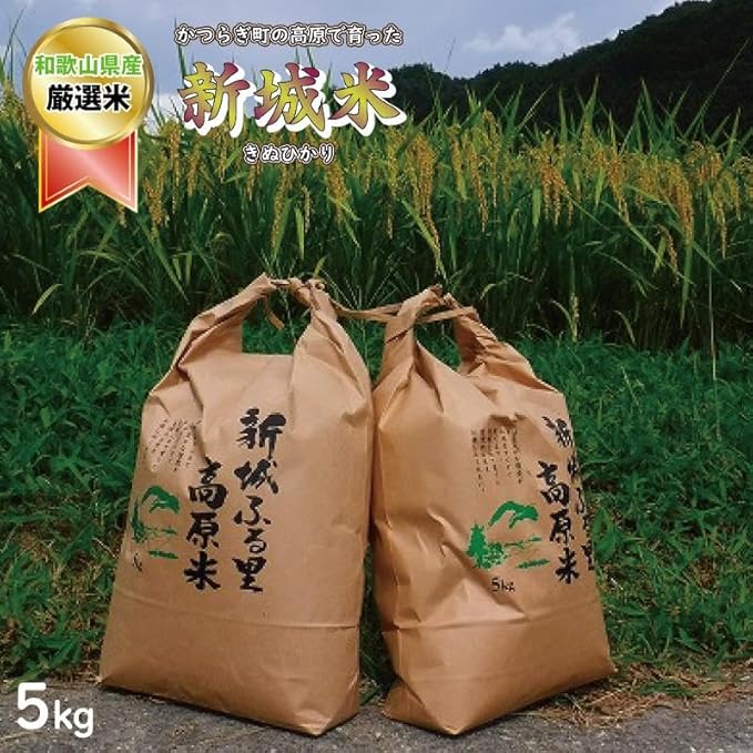 【ふるさと納税】 【特選】新城米(きぬひかり約5kg)＜2025年収穫＞【2025年9月下旬から2026年1月下旬に順次発送】