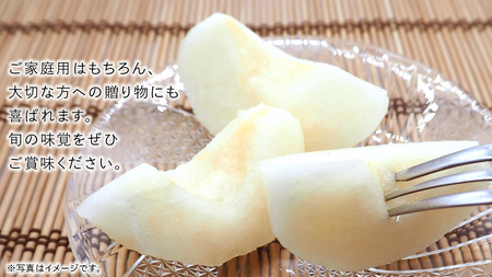 豊水 梨 10kg （18～24玉）【2026年9月より発送開始】（茨城県共通返礼品 [梨]：大子町産）