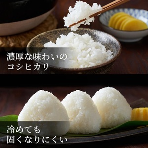 Y493 鳥取県産  コシヒカリ 令和7年産 精米済 10kg（5kg×2袋）