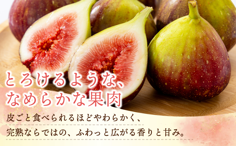 【先行予約】【農家直送】朝採り 完熟いちじく 700g以上【大阪 泉佐野 大阪府 泉佐野市】