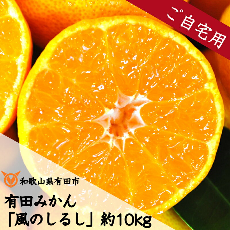 【ふるさと納税】有田みかん「風のしるし」訳あり 訳アリ 約10kg（A241-2）送料無料 産地直送 ご自宅用 ご家庭用 フルーツ 果物 本場 和歌山 有田 有田市 ありだ みかん 甘い 濃厚 コク ジューシー S M L s m l 先行予約