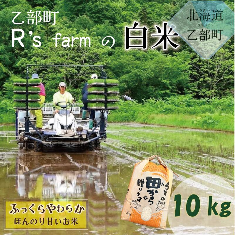 【ふるさと納税】＜北海道の米(10kg)～ふっくらつややか！若手農家が作る米＞ 10kg 北海道 乙部町 甘い 米 おにぎり 北海道産 お米 北海道米