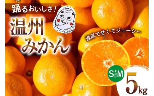 【期間限定発送】踊るおいしさ！甘くてジューシー 温州みかん 5kg [奈須農園 宮崎県 日向市 452061477] 果物 フルーツ 柑橘 みかん ミカン