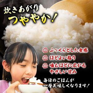 令和６年産 福岡県産米 元気つくし 10kg 精米
