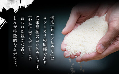 【新米受付・令和8年産米】 新潟県村上市岩船産コシヒカリ  精米2kg×3個セット NA4091