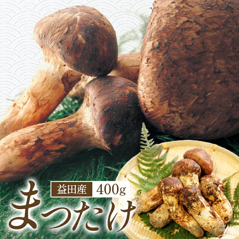 【ふるさと納税】 先行予約 まつたけ 500g きのこ 松茸 高級 松茸ご飯 焼き松茸 土瓶蒸し お吸い物 秋の味覚 期間限定 季節限定 早期予約 冷蔵 特産品 お取り寄せ グルメ