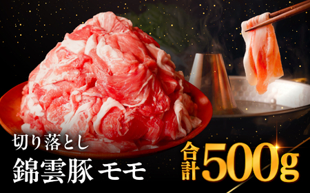 高級 ブランド 錦雲豚 モモ 切り落とし 500g | お肉 肉 おにく 豚 ぶた 豚肉 もも モモ肉 もも肉 豚もも 切落し 大分県 中津市