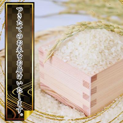 ふるさと納税 寒河江市 【先行受付】はえぬき精米 9kg(3kg×3袋)山形県産 令和8年産 |  | 02