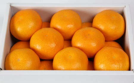 【期間限定】ハウスみかん約1kg（化粧箱入） みかん 温州ミカン 1kg 甘い 秀品 柑橘類 糖度 6月 7月 8月 ハウスみかん フルーツ 先行予約 九州 大分 杵築 ＜132-010＞