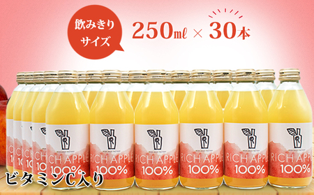 りんごジュース RICH APPLE 　30本セット（250ml×30本）