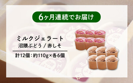 【全6回定期便】沼南ミルクジェラート 沼隈ぶどう＆赤しそ　各6個　食べ比べセット　アイス  ぶどう 赤しそ アイス アイスクリーム デザート スイーツ ご当地 広島県福山市/甚ごろう[BAEC051]
