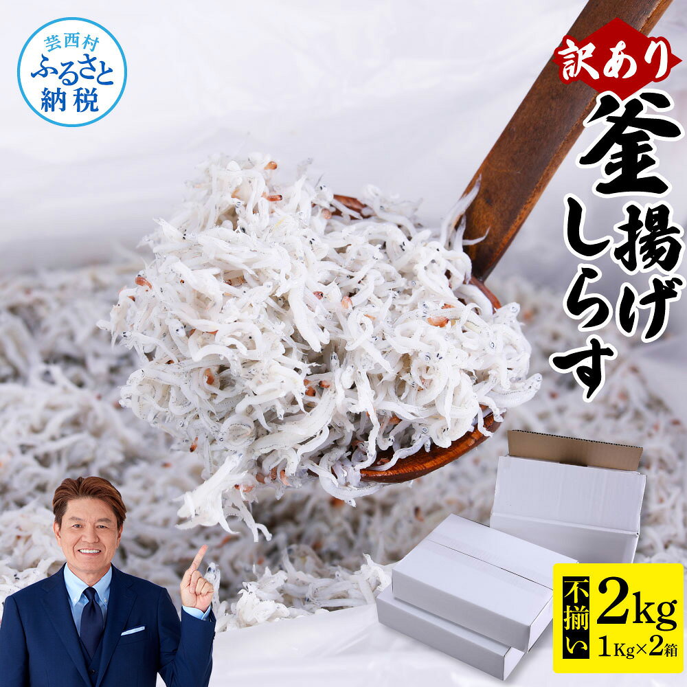 【ふるさと納税】しらす 訳あり釜揚げしらす 1kg×2個 合計2kg 高知県産 ご飯のお供 ごはんのお供 訳アリ しらす干し 釜揚げシラス 大容量 わけあり 不揃い シラス 国産 釜揚げ 新鮮 しらす丼 冷凍配送 おにぎり 減塩 塩分控えめ 離乳食 返礼品 12000円代 じゃこ 食品