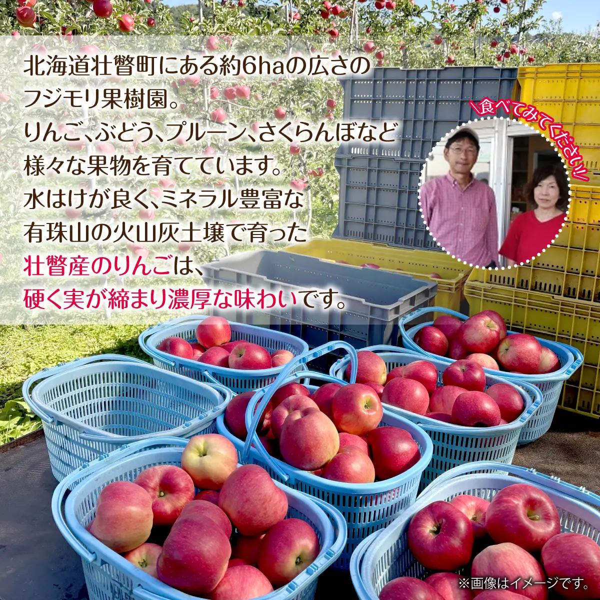 【先行予約】＜2026年10月上旬よりお届け＞北海道壮瞥町　りんご　品種名「華宝」10～16玉約5kg SBTF015