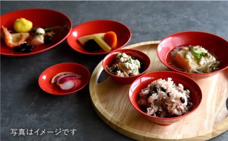 【波佐見焼】赤紅（あかべに）色 6型セット 小皿 茶碗 小鉢 大皿  食器 皿 【DRESS】 [SD10] 波佐見焼