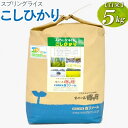 【ふるさと納税】【新米】スプリングライス こしひかり (白米)5kg｜米 コメ こめ ごはん ご飯 ゴハン 白飯 スプリング ライス コシヒカリ 水へのこだわり 地下水 5kg 贈答 白米 精米 ギフト 贈答 贈り物 プレゼント お祝 ご褒美 記念日 景品 _BI25