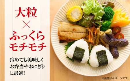 【時間が経っても美味しい】【全3回定期便】令和5年産 さがびより 白米 計6kg（2kg×1袋×3回） 佐賀県/株式会社森光商店[41ACBW043]