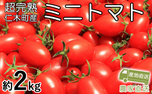 8月発送開始[2026年発送] 超完熟ミニトマト【 アイコ 】2kg（1kg×2箱）栽培期間中 農薬・除草剤不使用 サイズ混載 トマト ミニトマト 野菜 北海道 仁木町 [アイコファーム]