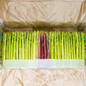 アスパラ王子が育てた自慢のアスパラ　おおもりやオリジナル　穂だけアスパラ1kg【予約受付：ご用意でき次第発送】【H-77】